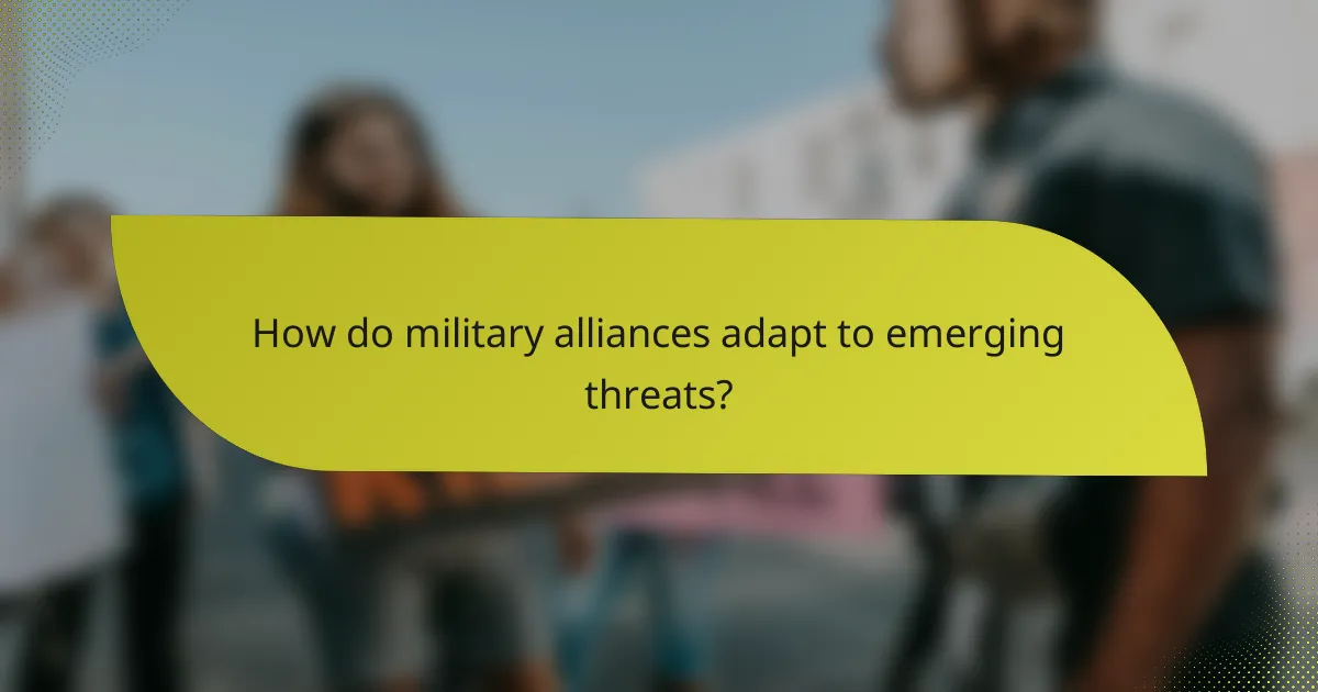 How do military alliances adapt to emerging threats?