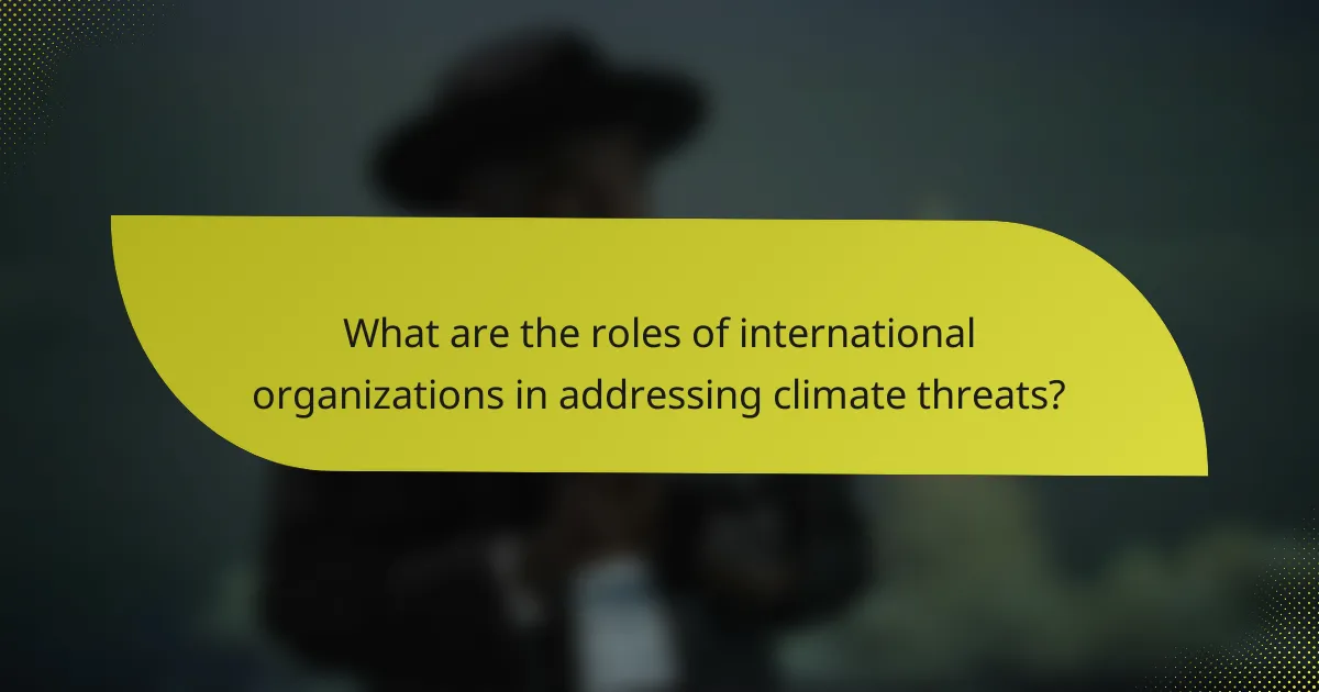 What are the roles of international organizations in addressing climate threats?