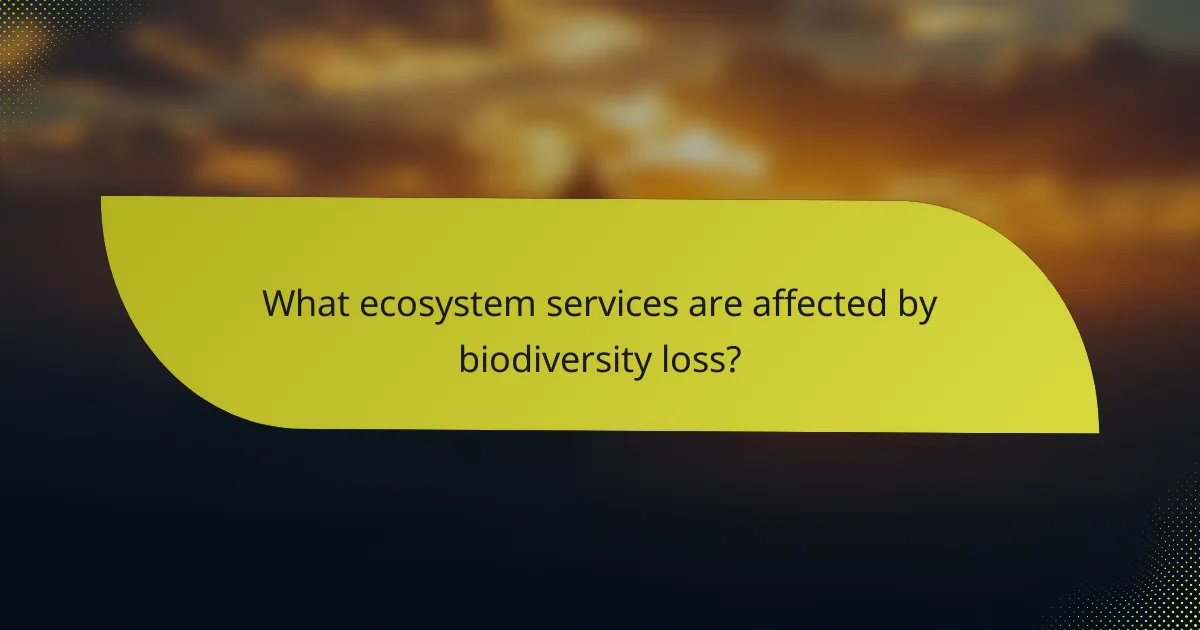 What ecosystem services are affected by biodiversity loss?