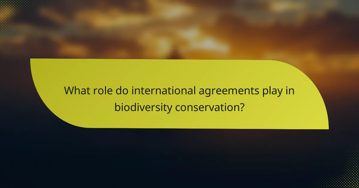 What role do international agreements play in biodiversity conservation?