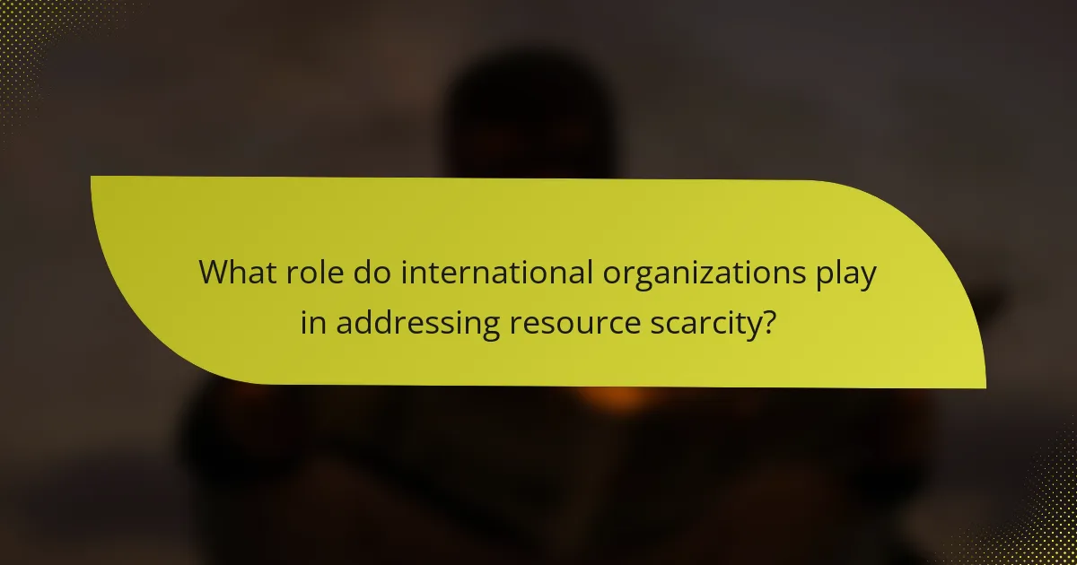 What role do international organizations play in addressing resource scarcity?