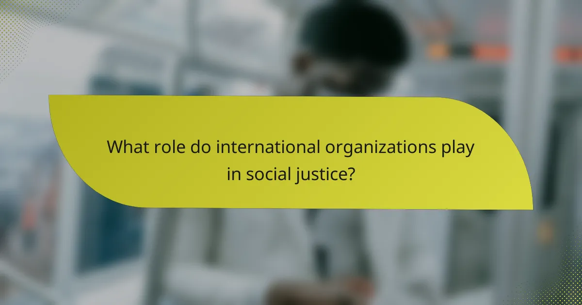 What role do international organizations play in social justice?