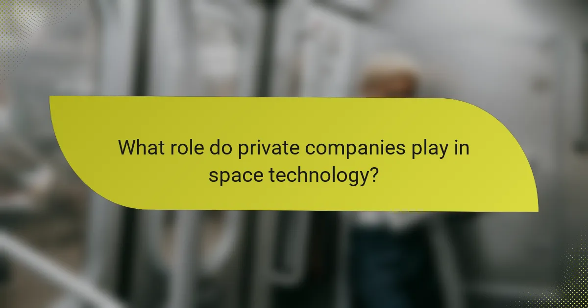 What role do private companies play in space technology?